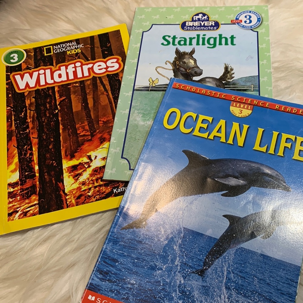 ⭐️2/$12⭐️Reading level 3 books